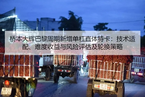 桥本大辉巴黎周期新增单杠直体特卡：技术适配、难度收益与风险评估及轮换策略