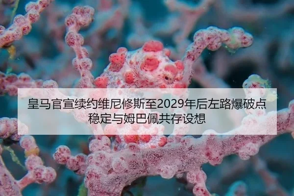 huang-ma-guan-xuan-xu-yue-wei-ni-xiu-si-zhi-nian-hou-zuo-lu-bao-po-dian-wen-ding-yu-mu-ba-pei-gong-cun-she-xiang-2-879.jpg