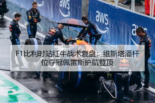 bi-li-shi-zhan-hong-niu-zhan-shu-fu-pan-wei-si-ta-pan-gan-wei-duo-guan-pei-lei-si-hu-hang-deng-ding-2-936.jpg